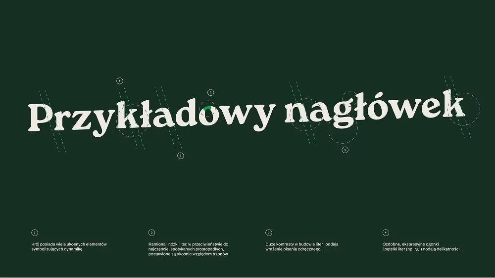 Identyfikacja studia pilatesu autorstwa  Jakub Stelmach
