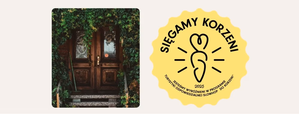 Slowhop z nowym logo i identyfikacją wizualną