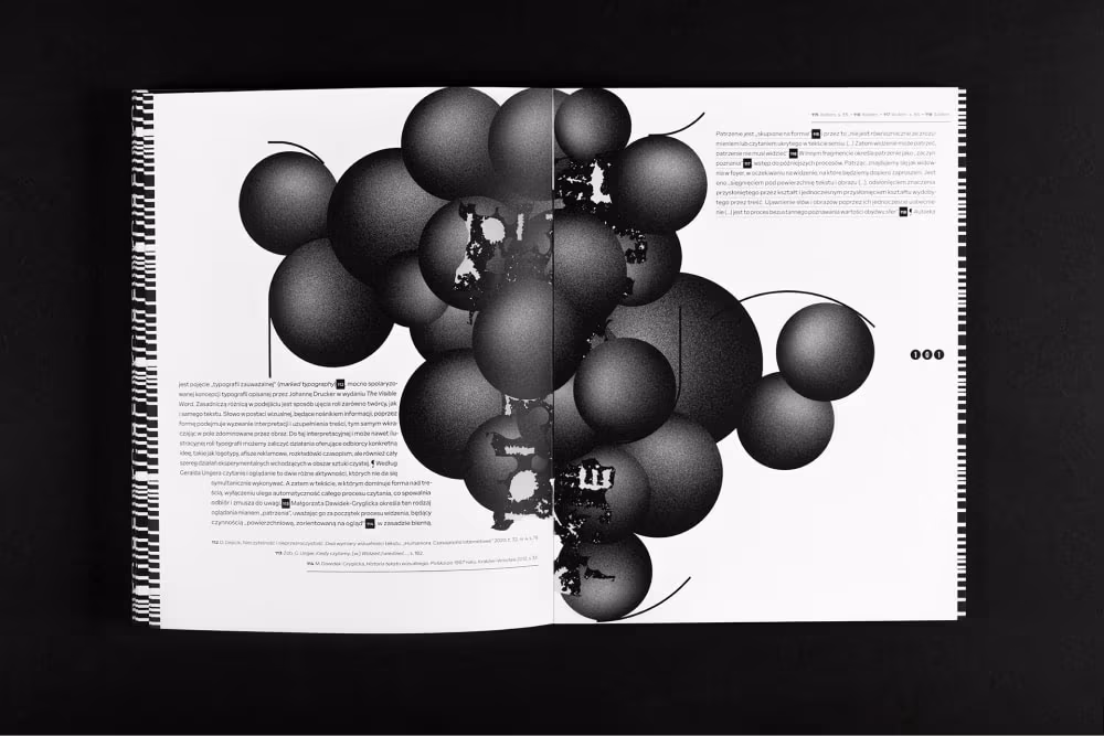 Dychotomia funkcji i formy w projektowaniu graficznym w oparciu o działania typograficzne i liternicze