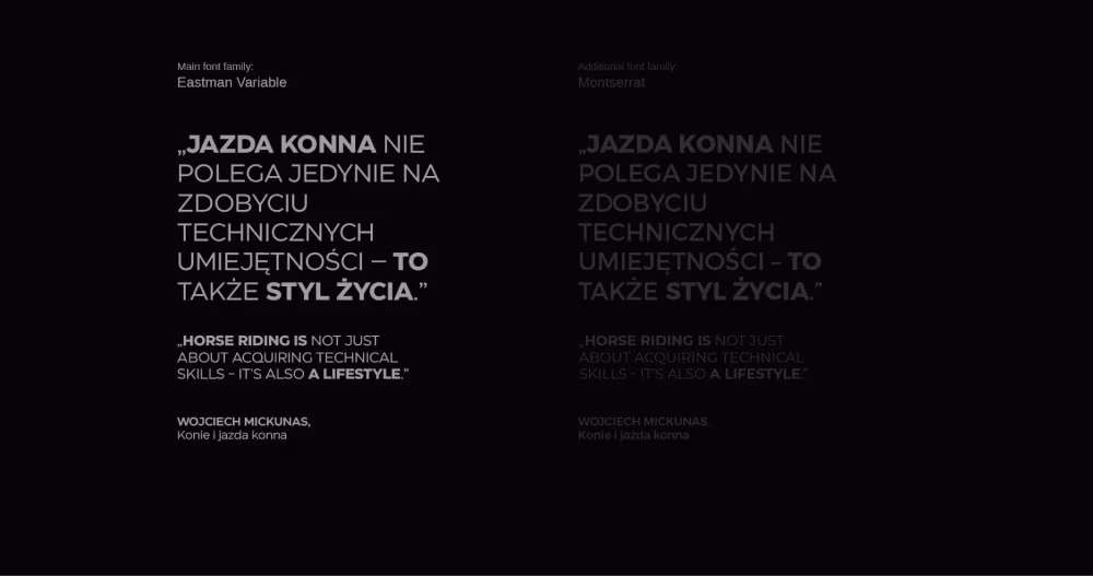 Identyfikacja wizualna BORSOG ze Studio Brandglow