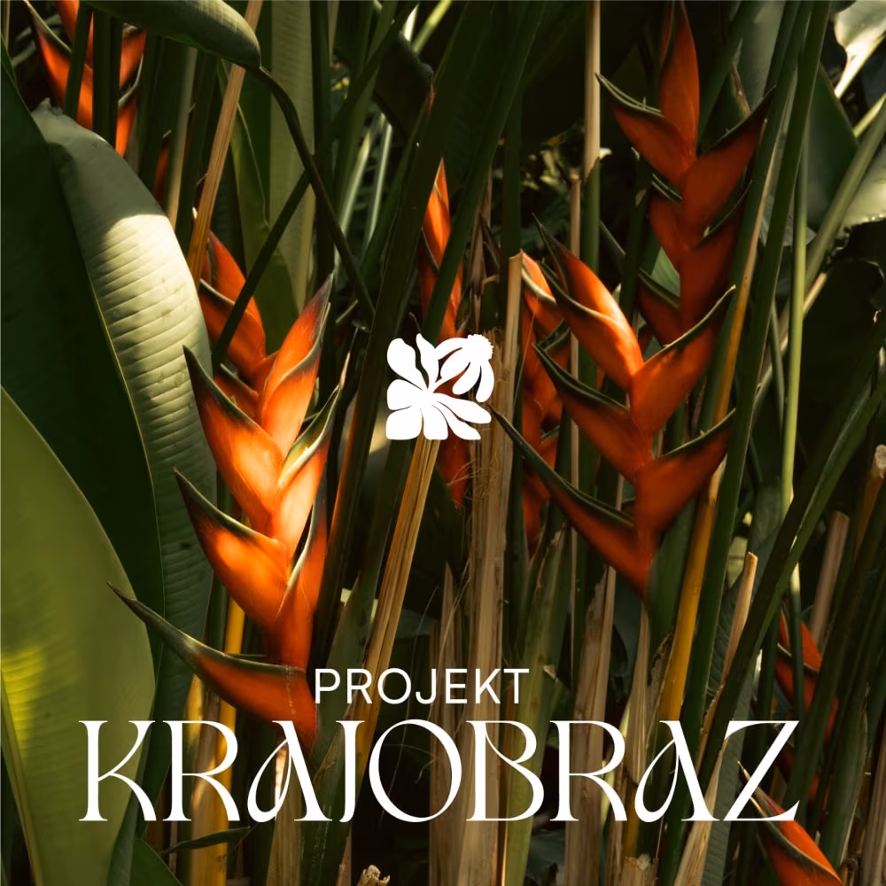 Identyfikacja Projekt Krajobraz od FRAYDA