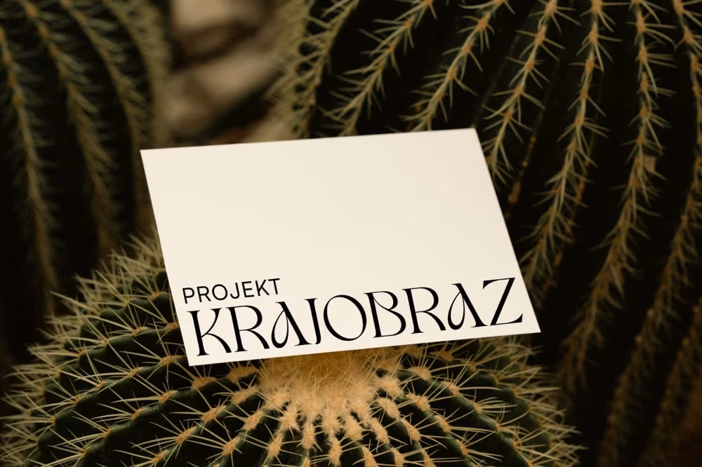 Identyfikacja Projekt Krajobraz od FRAYDA
