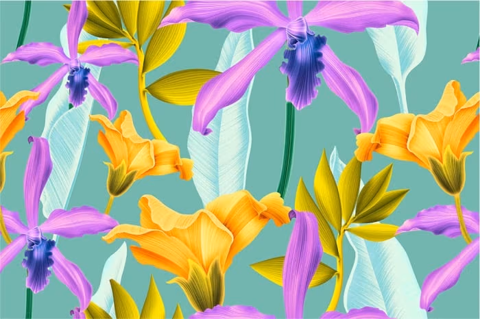 Darmowe ilustracje