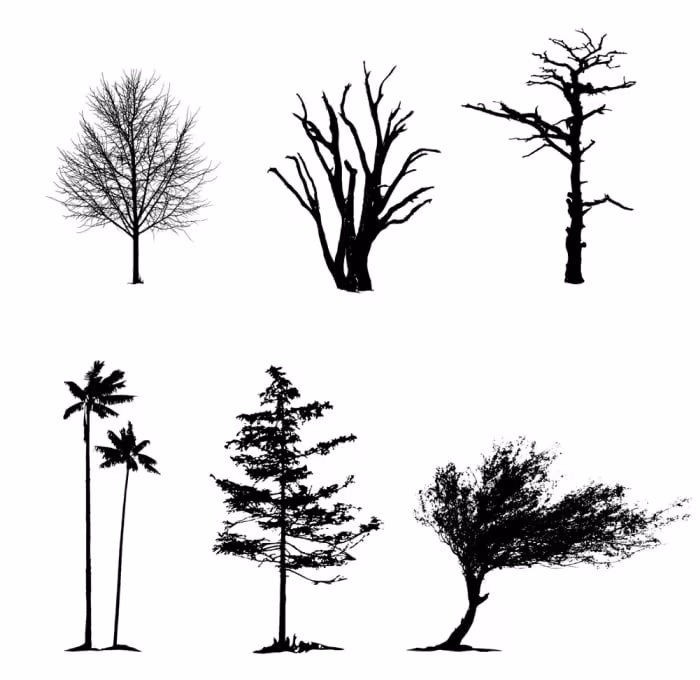 Darmowe ilustracje