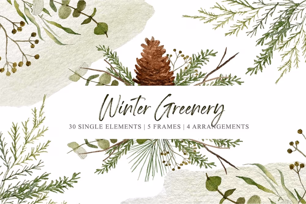 Winter Greenery Watercolor Pack