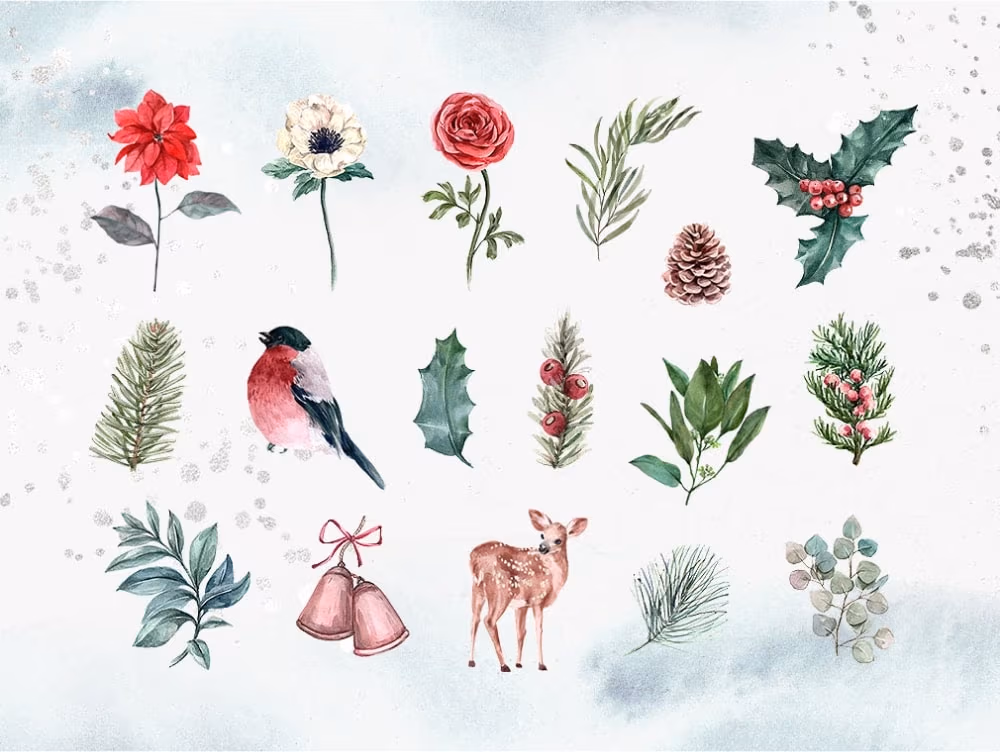 WINTER FLOWERS WATERCOLOR CLIPART