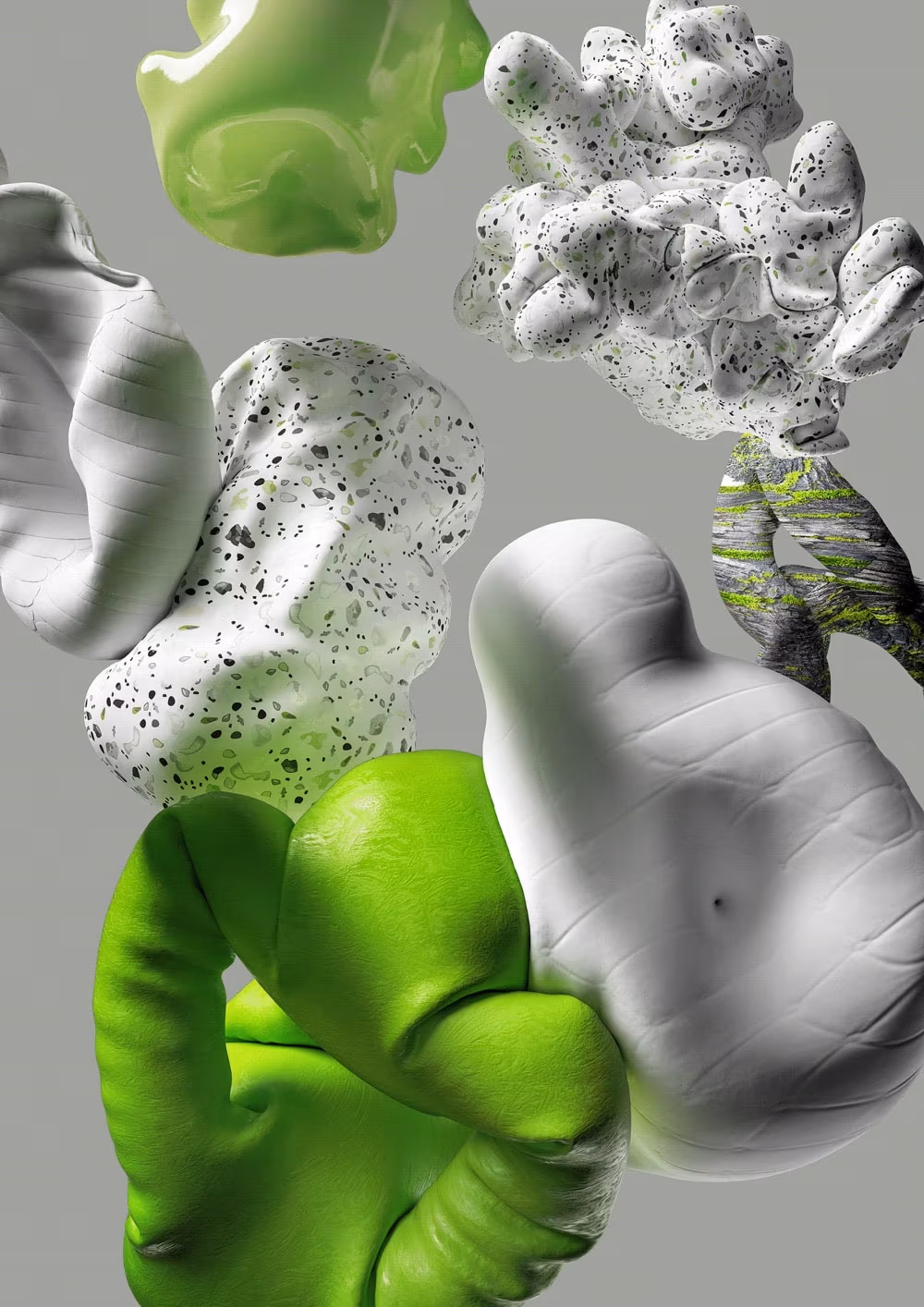 Abstract Organic Explorations, Rafał Mierzejewski