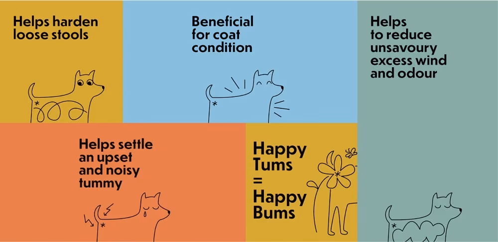 Dog's butt - illustrated probiotic packaging, Agu Wu