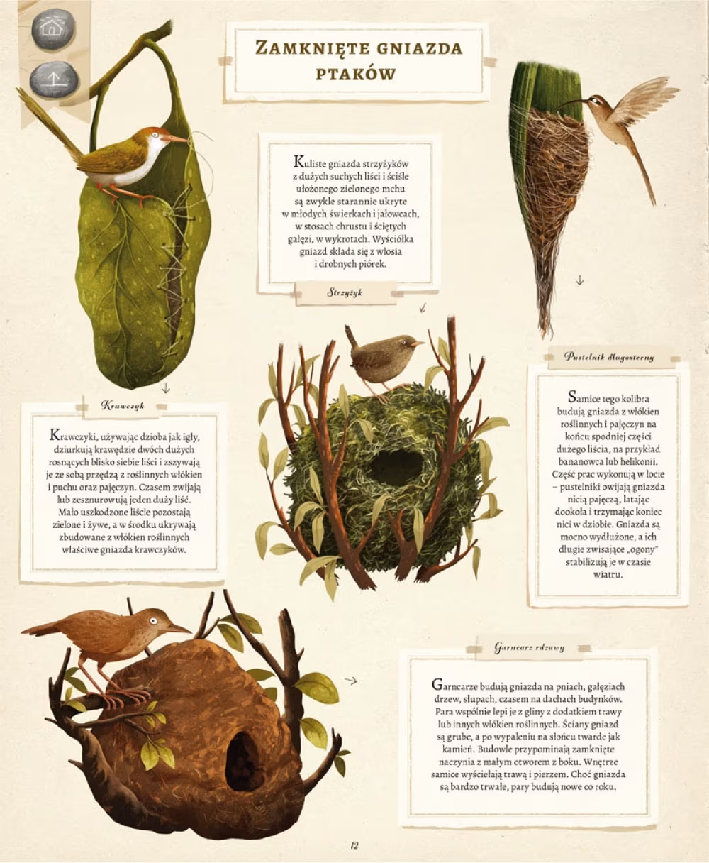 Co budują zwierzęta? (What Do Animals Build?), Emilia Dziubak