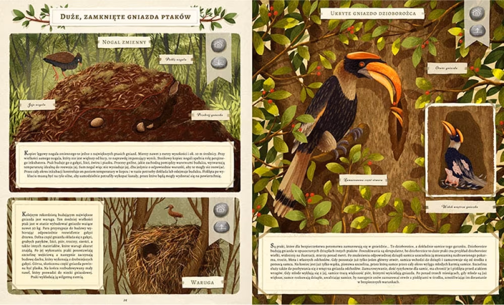 Co budują zwierzęta? (What Do Animals Build?), Emilia Dziubak