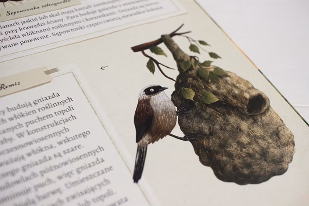 Co budują zwierzęta? (What Do Animals Build?), Emilia Dziubak