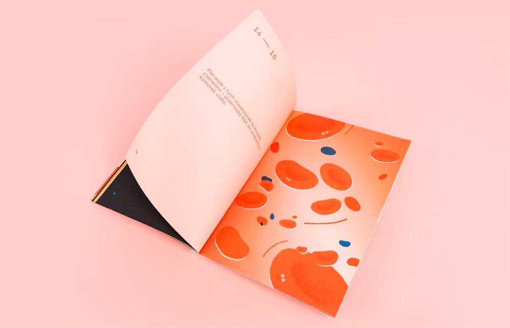 Brochure for children (ITP) — Editorial Design, Aneta Lewandowska
