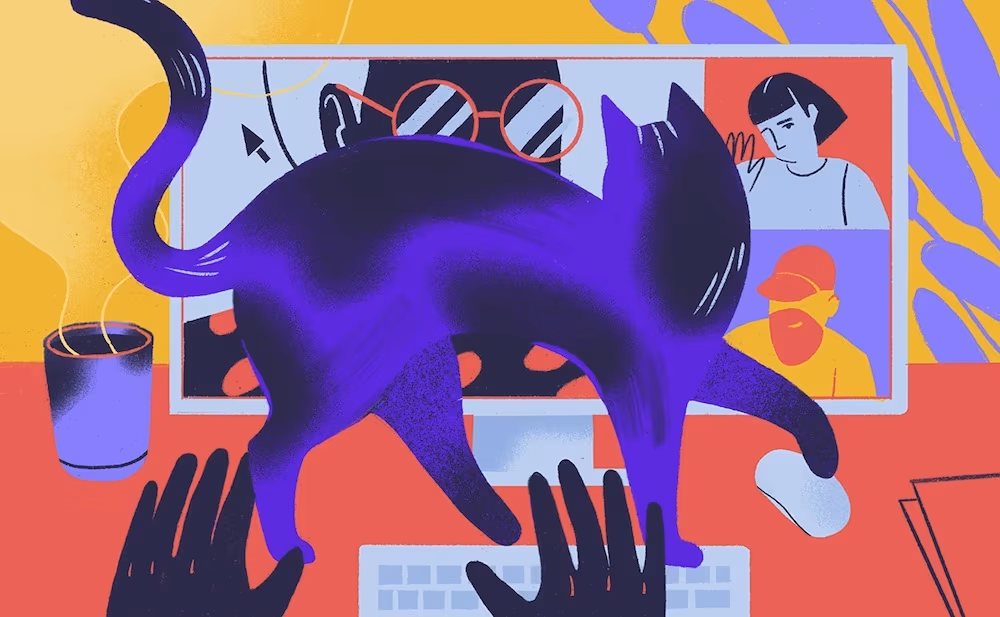 Blog illustrations for Clubhouse, Kasia Bojanowska