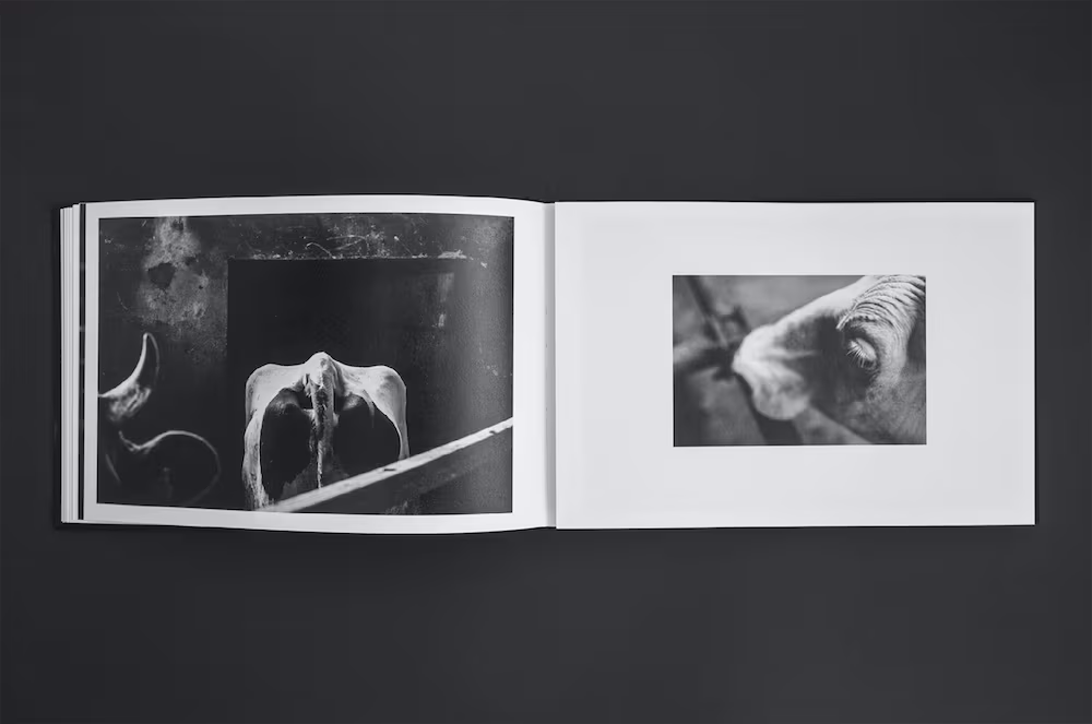 Dawid Ryski „Happy Parade - Gin-Mitsu / Japan”