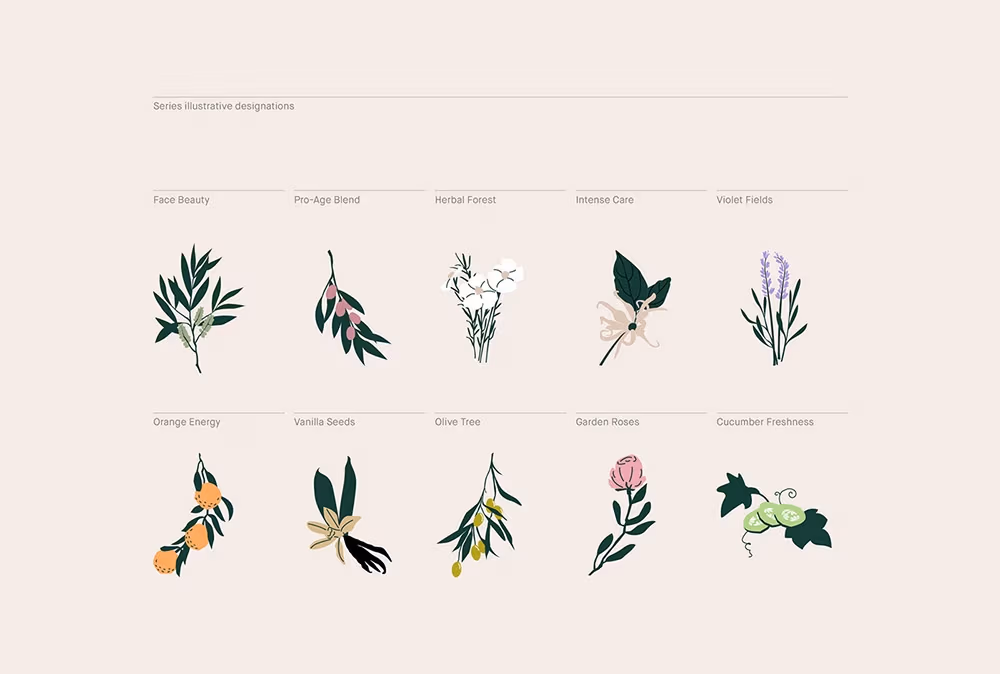 Make Me Bio Rebranding, Blurbstudio