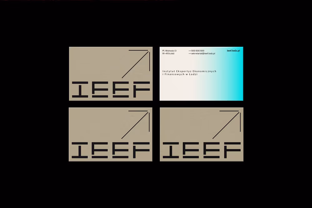 IEEF, Jarosław Dziubek