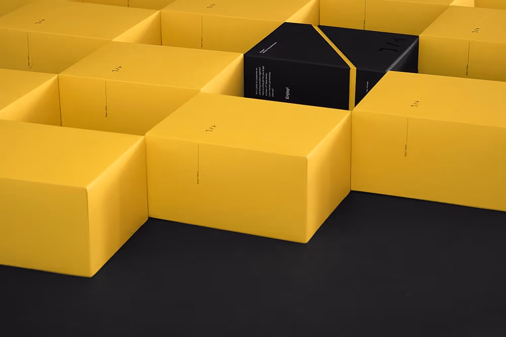 Jit.Team, 247 Studio