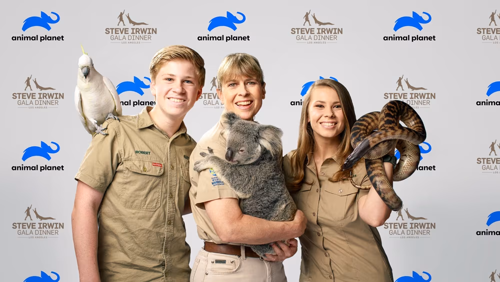 Rebranding Animal Planet