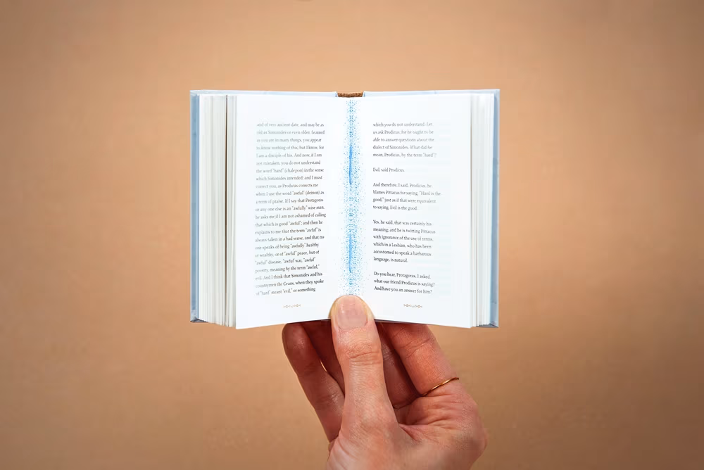 Protagoras by Plato, Podpunkt )