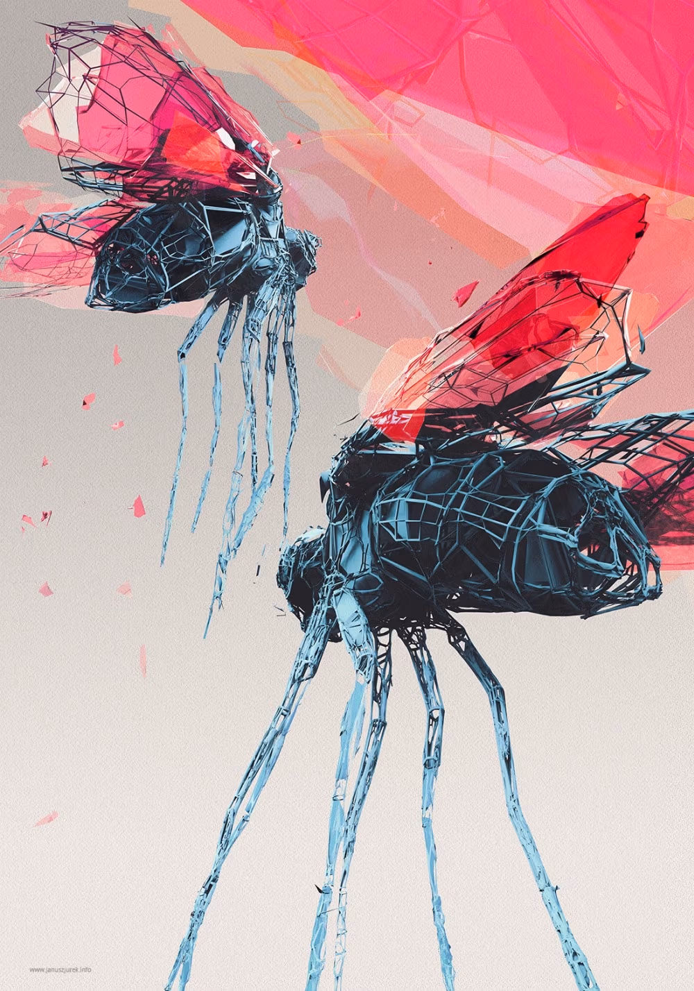 Lord of the Flies, Janusz Jurek