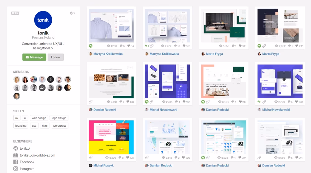 Profil tonik na Dribbble