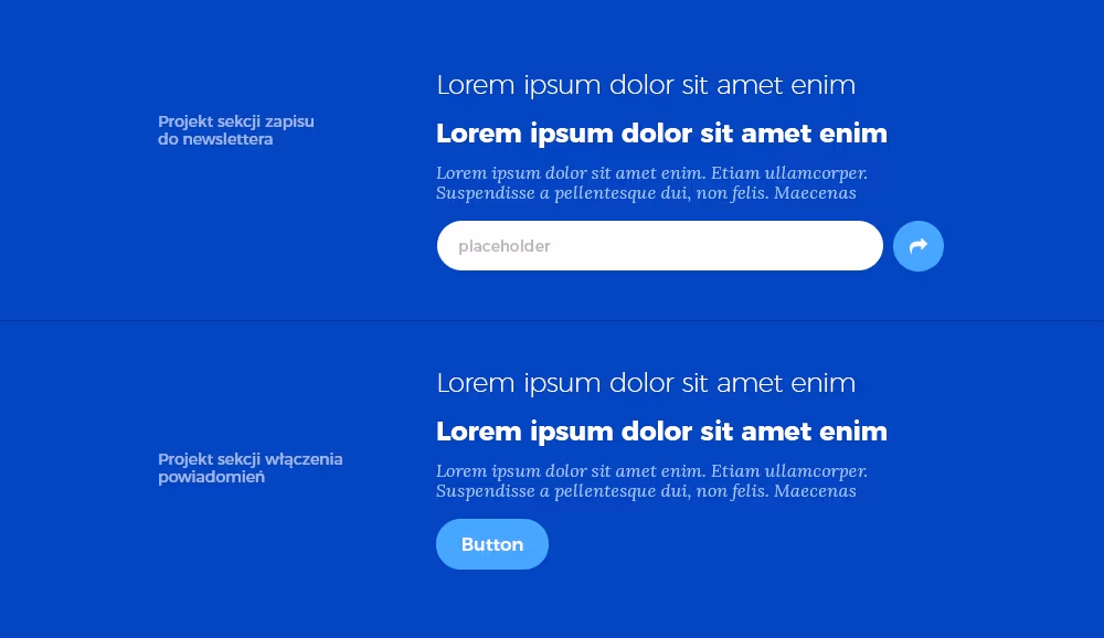 Molekuły, albo organizmy w Atomic Design (w zależności od podejścia i miejsca na stronie)