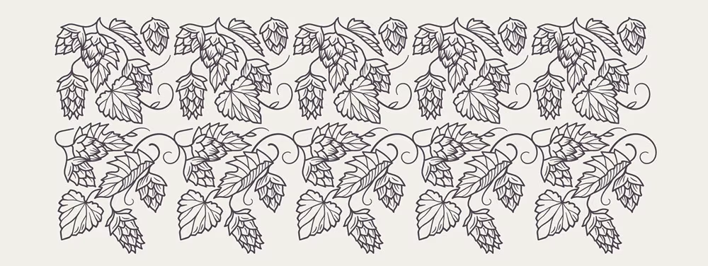 Hopfest Craft Beer, Marek Jagusiak
