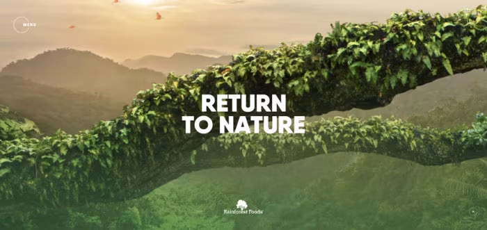 rainforestfoods