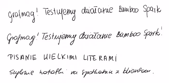 tekst-zapisany-bamboo-spark