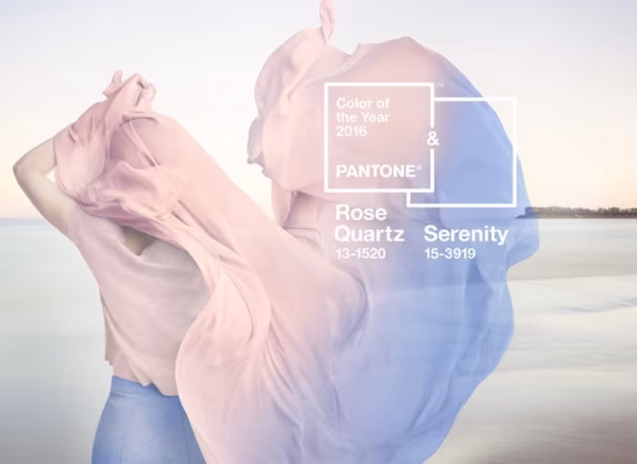 kolor-pantone-rose
