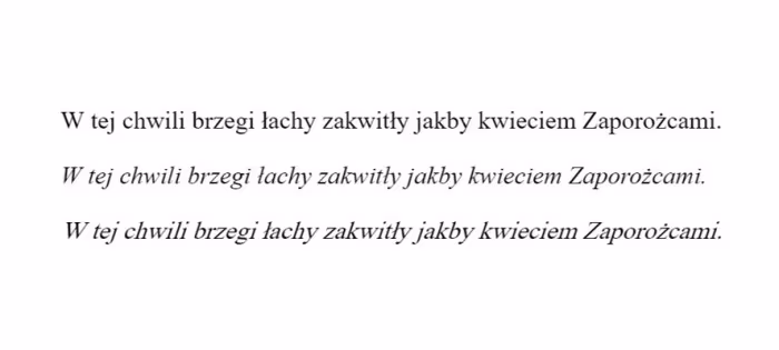 Font Times New w stylu normalnym, italic i oblique