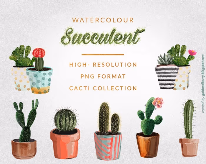 freebies-watercolor-succulents-cactus-png