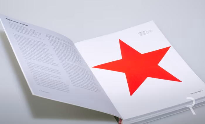 czym-jest-branding-matthew-healey-recenzja (3)