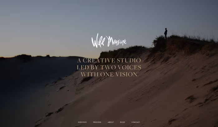 wildmeasure
