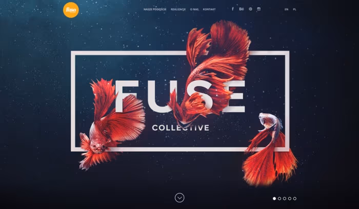 fuse