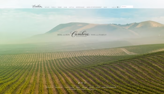 cambriawines