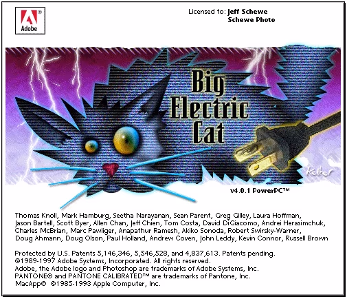 Adobe Photoshop Big Electric Cat