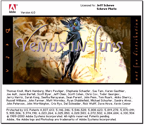 Adobe Photoshop Venus in Furs