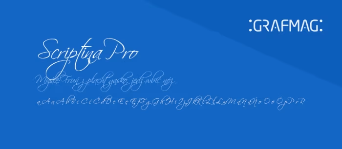 Scriptina-Pro