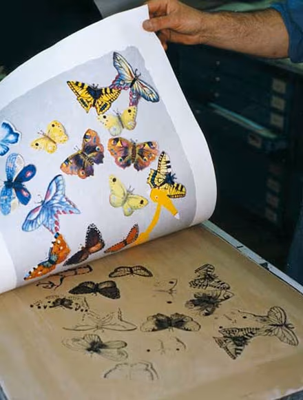 Barwna litografia – odbicie z ostatniej matrycy z kolorem czarnym, źródło