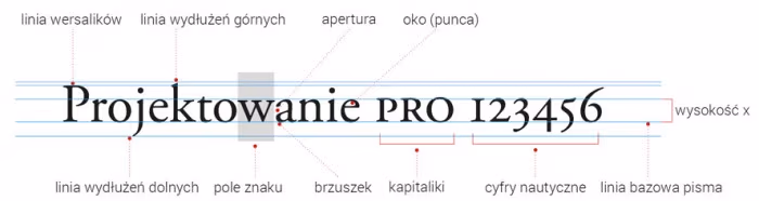 zrzut-projektowanie-(1)