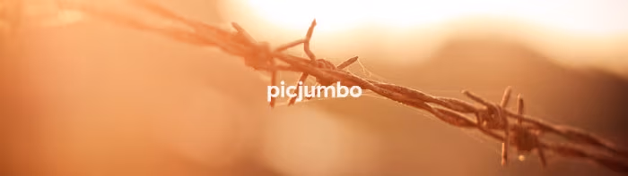 picjumbo