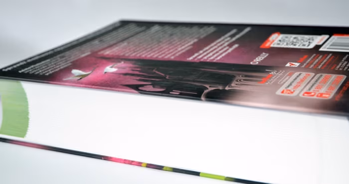 Photoshop CS6CS6 PL Nieoficjalny podrecznik Lesa Snider recenzja (9)