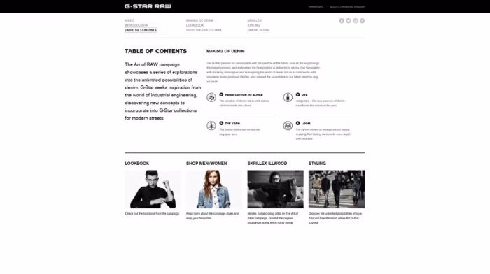 13 G-star RAW