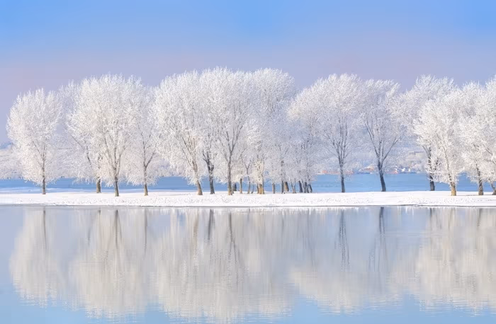 © Laurentiu Iordache - Fotolia.com
