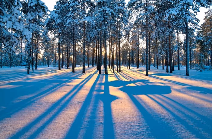 © Leonid Ikan - Fotolia.com