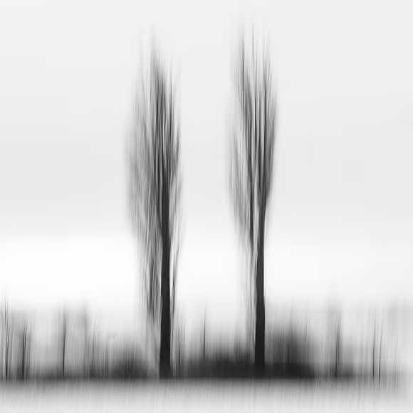 © Kamil Kutkowski