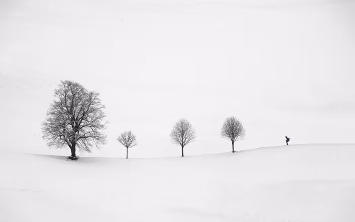 return as always © Peter Svoboda