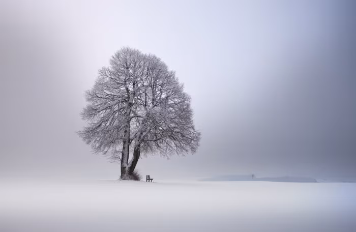 Winter light © Franz Schumacher