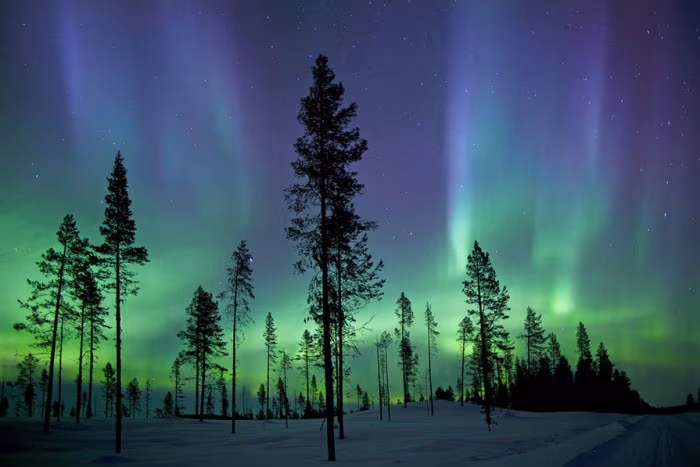 Kiruna Aurora © Antony Spencer